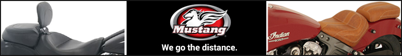Mustang Seats
